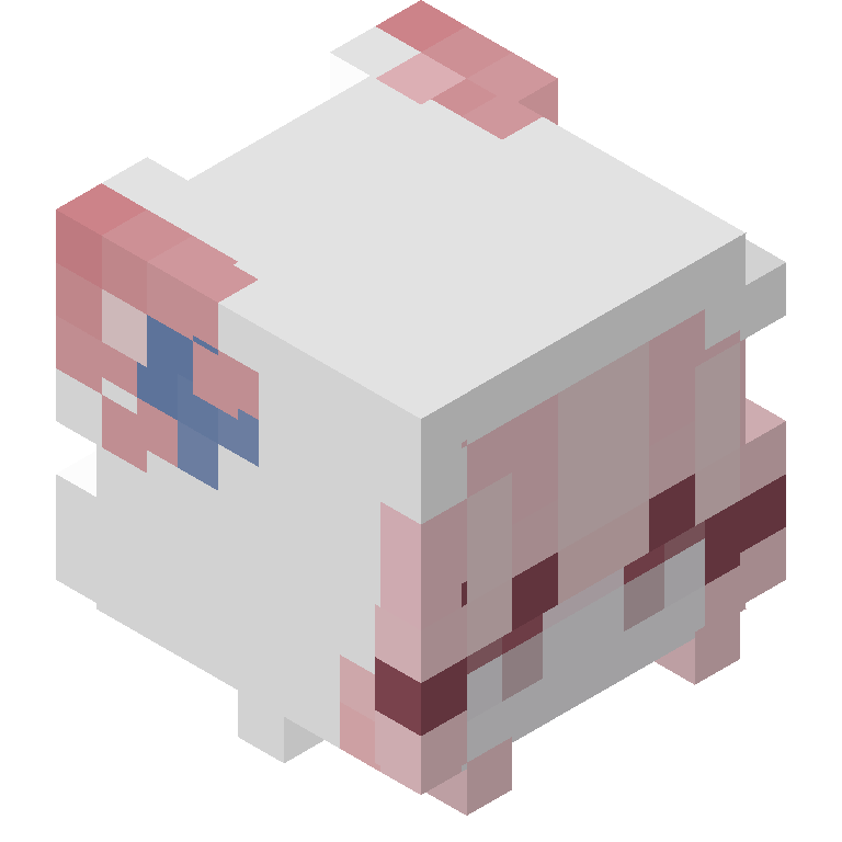 HEAD_ISO