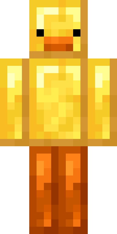 BODY