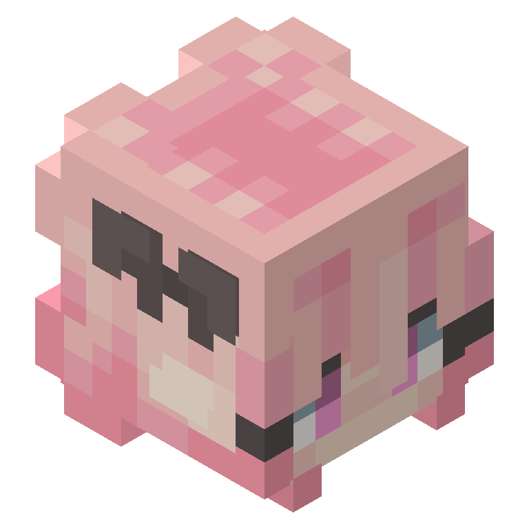 HEAD_ISO