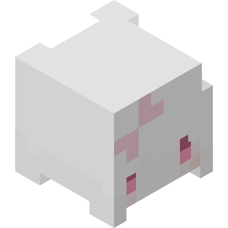 HEAD_ISO