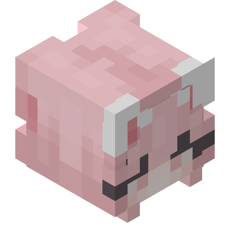 HEAD_ISO