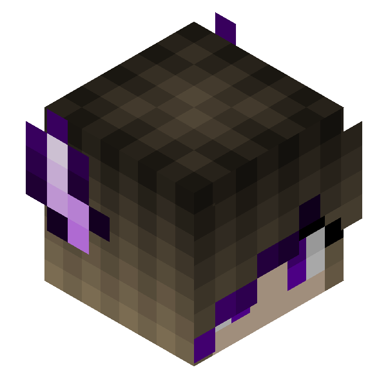 HEAD_ISO