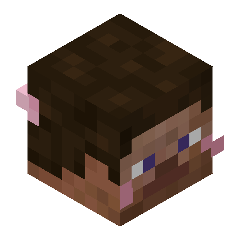 HEAD_ISO