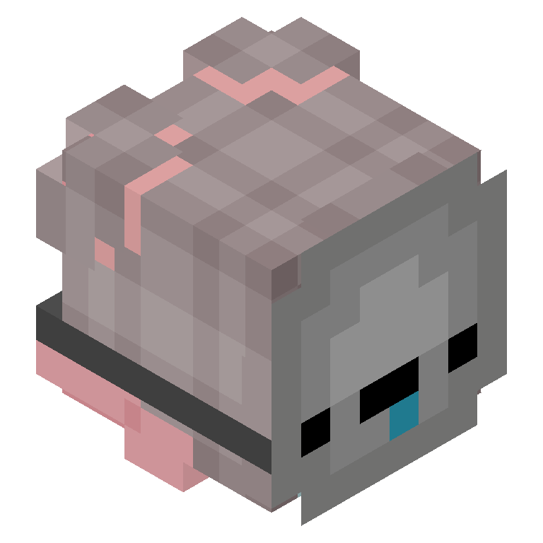 HEAD_ISO