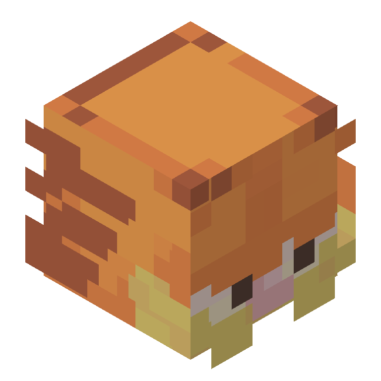 HEAD_ISO