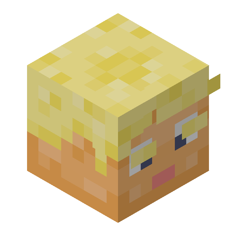 HEAD_ISO