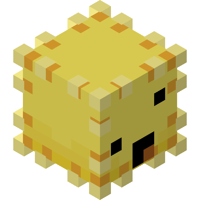 HEAD_ISO