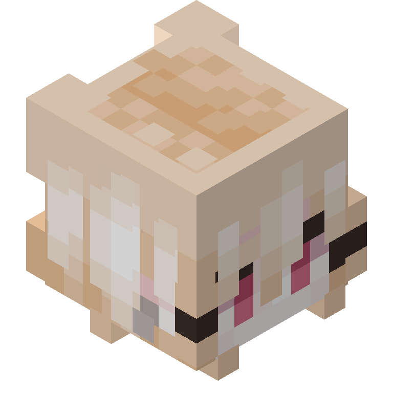 HEAD_ISO
