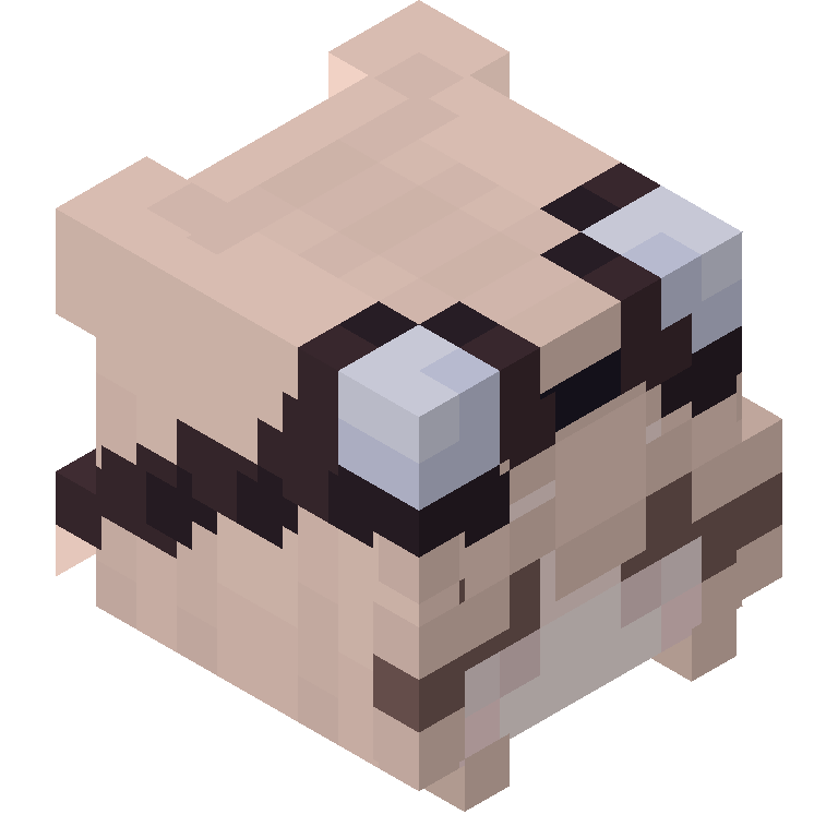 HEAD_ISO