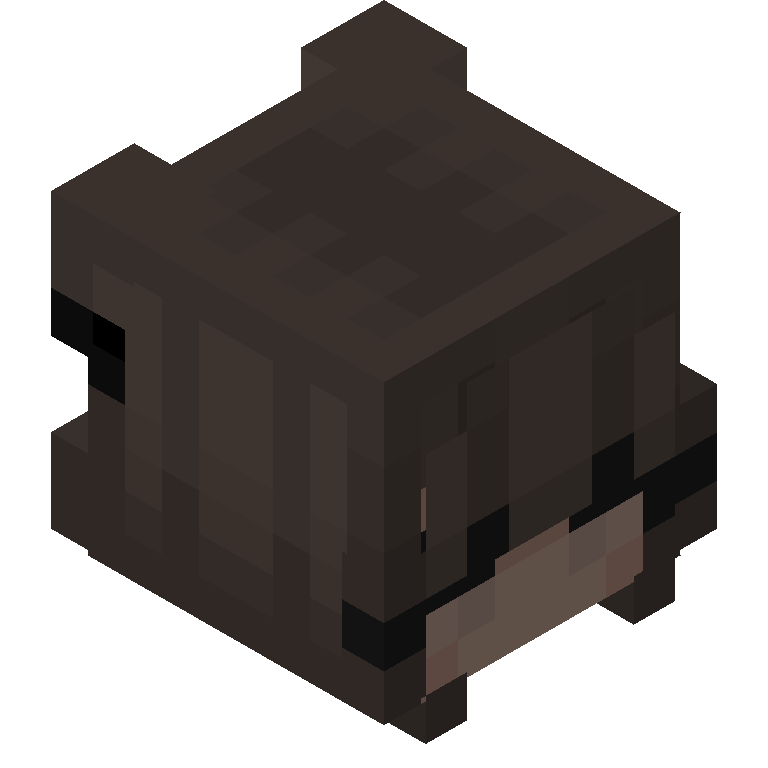 HEAD_ISO