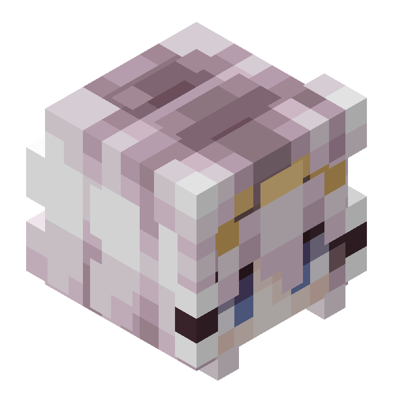 HEAD_ISO