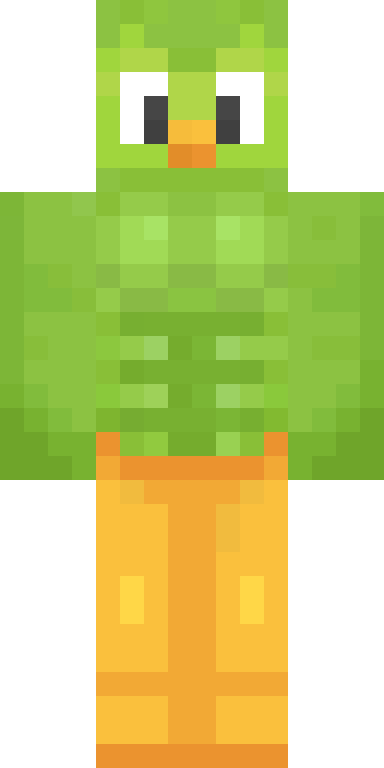 BODY