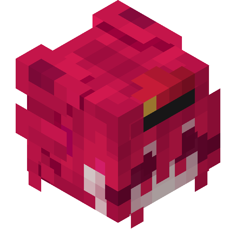 HEAD_ISO
