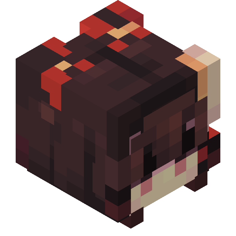 HEAD_ISO