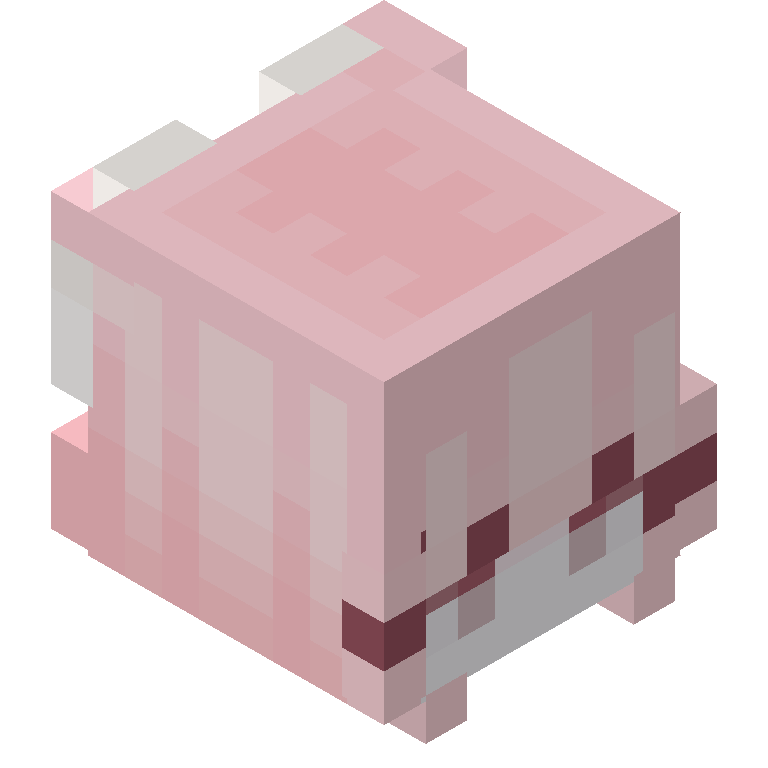 HEAD_ISO