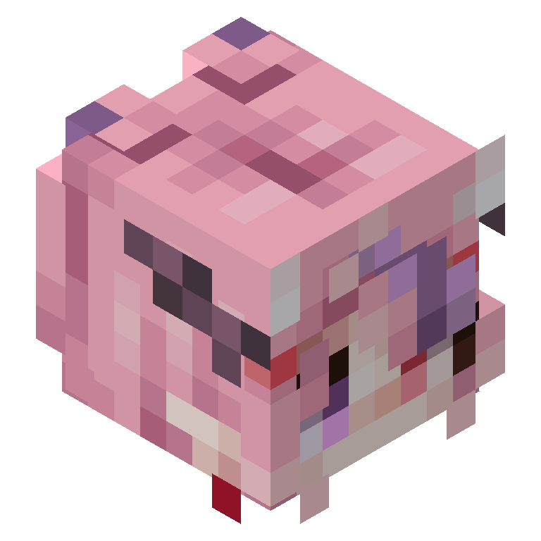 HEAD_ISO