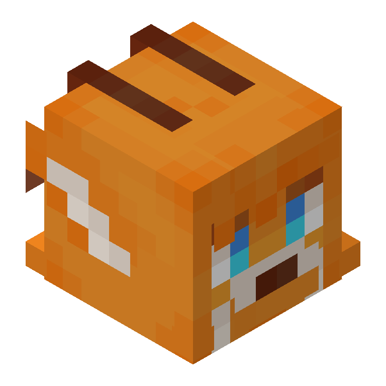 HEAD_ISO