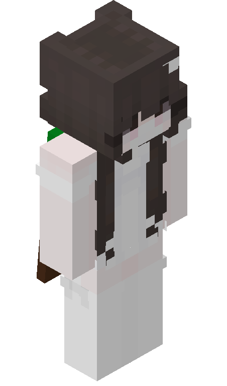 SprawaRr_ skin - FULLBODY_ISO_FRONT