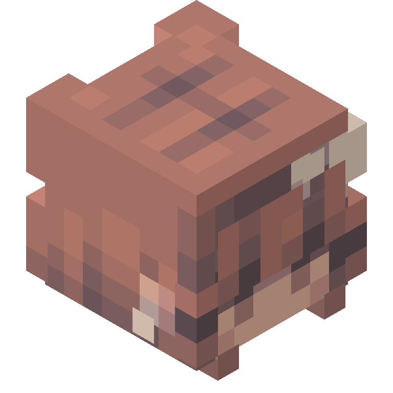 HEAD_ISO