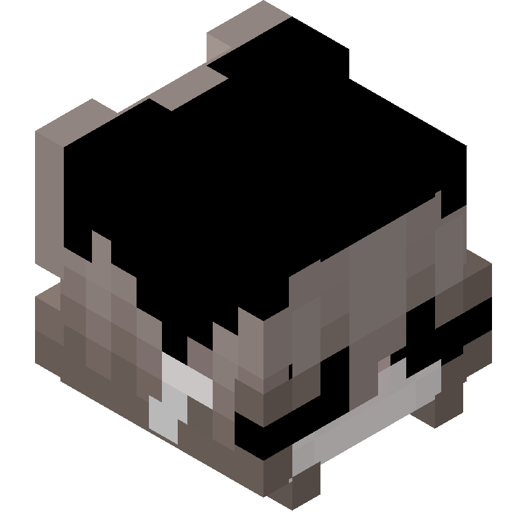 HEAD_ISO