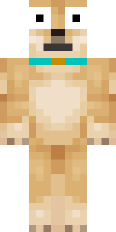 BODY