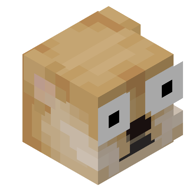 HEAD_ISO