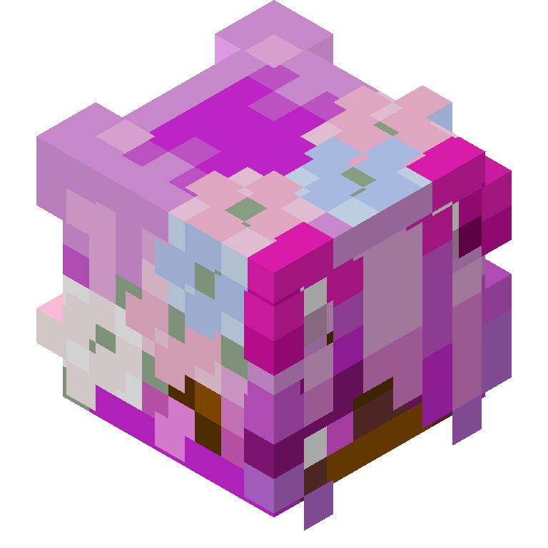 HEAD_ISO