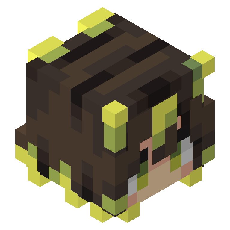 HEAD_ISO