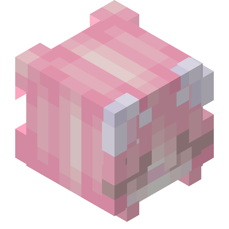 HEAD_ISO