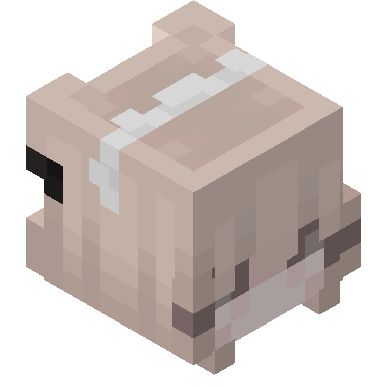 HEAD_ISO