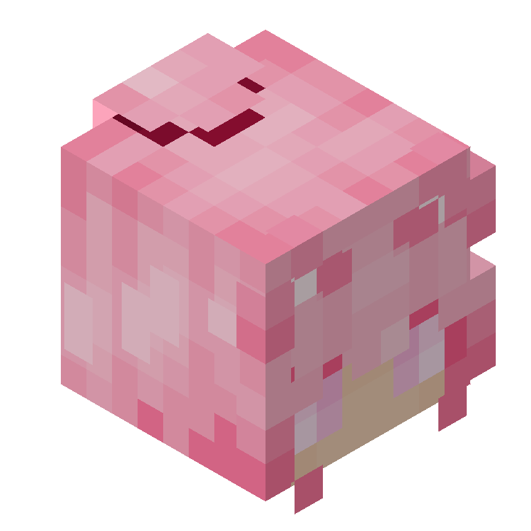 HEAD_ISO