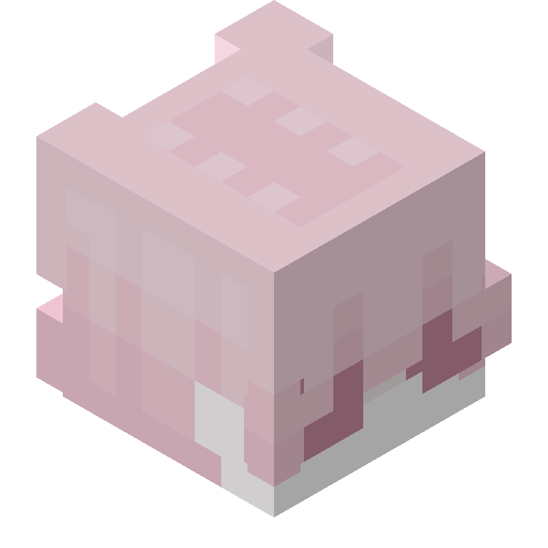 HEAD_ISO