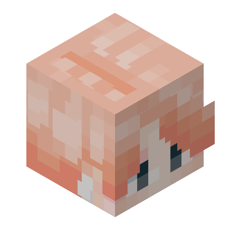 HEAD_ISO