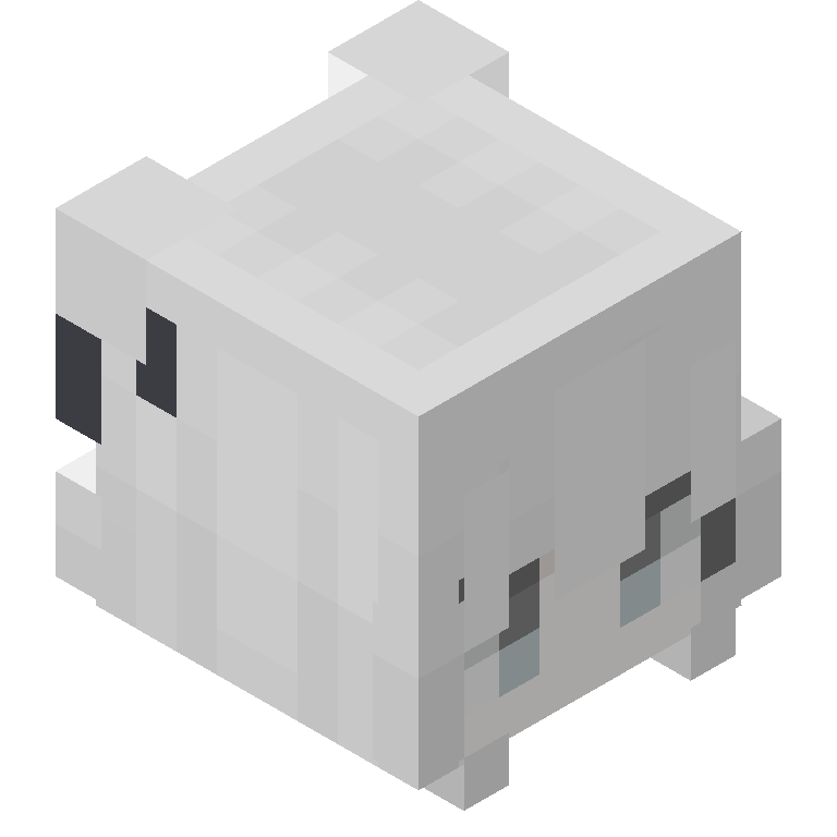 HEAD_ISO