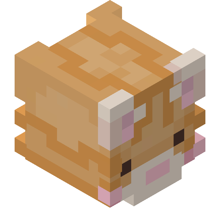 HEAD_ISO