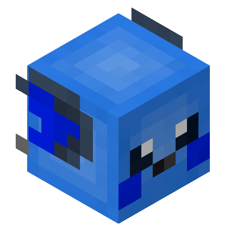 HEAD_ISO