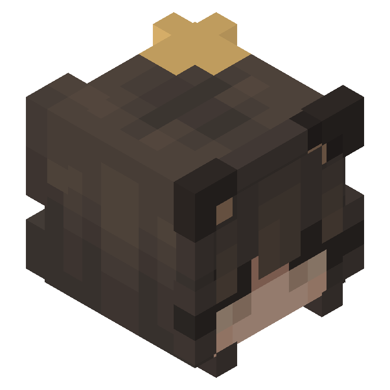 HEAD_ISO