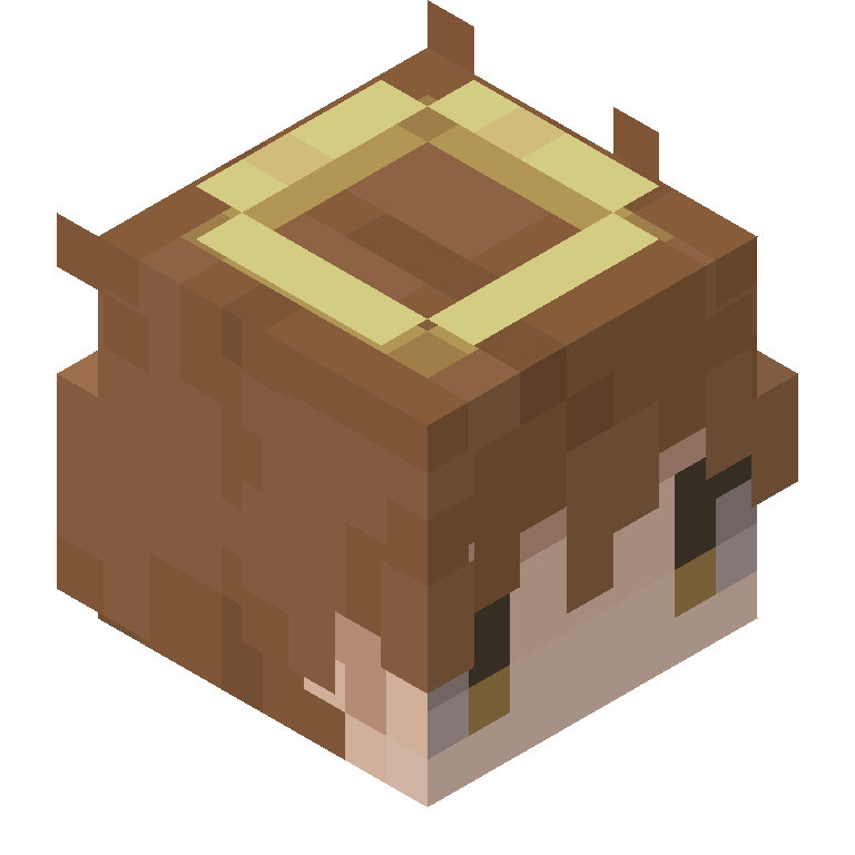 HEAD_ISO