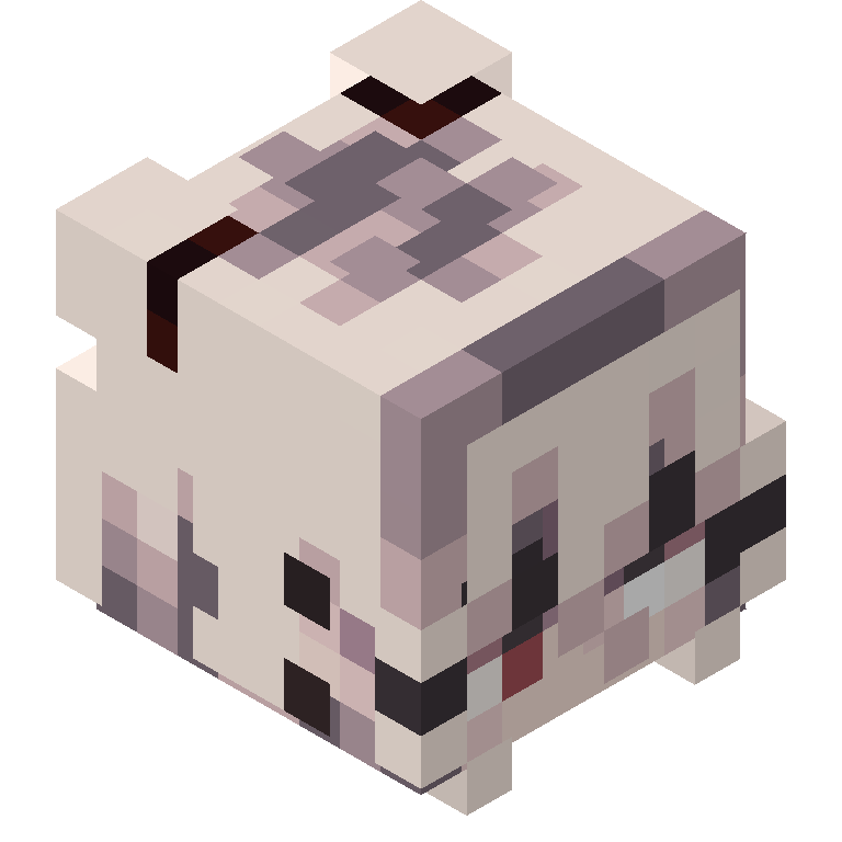 HEAD_ISO