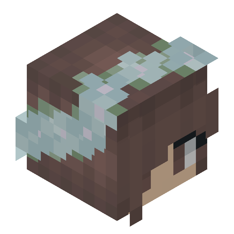 HEAD_ISO