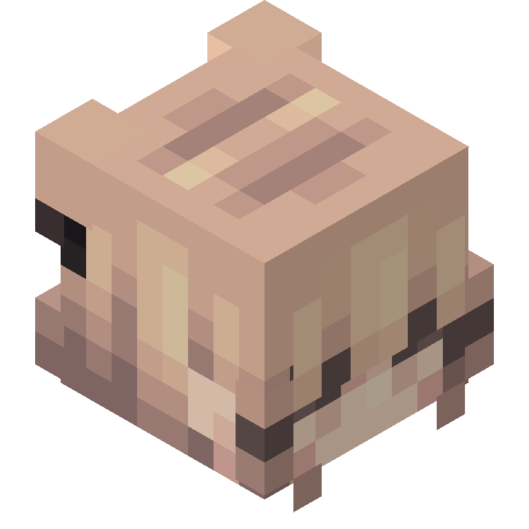 HEAD_ISO