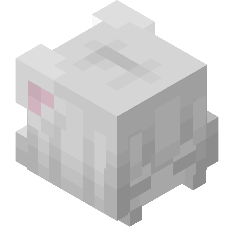HEAD_ISO