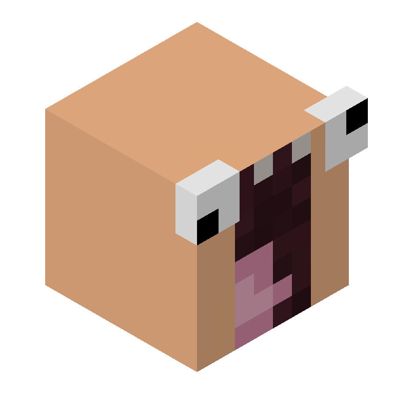 HEAD_ISO