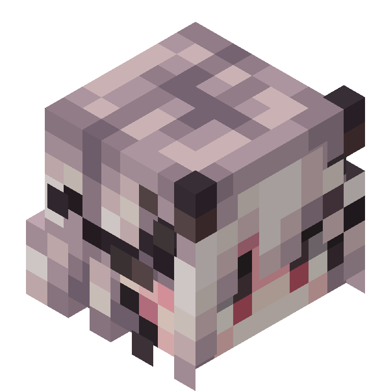 HEAD_ISO