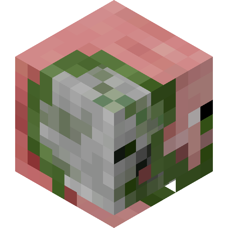 HEAD_ISO