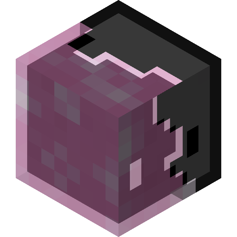 HEAD_ISO