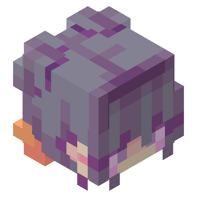 HEAD_ISO