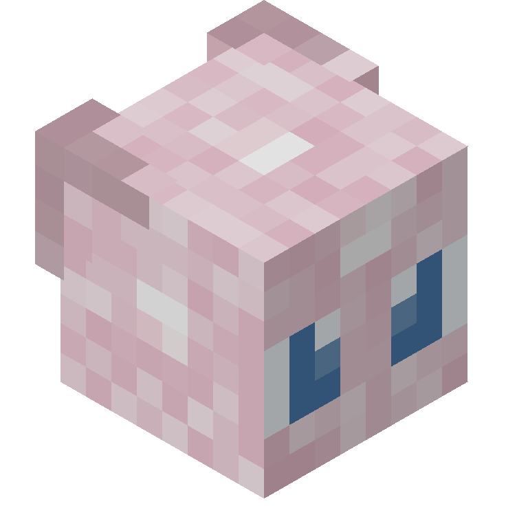 HEAD_ISO