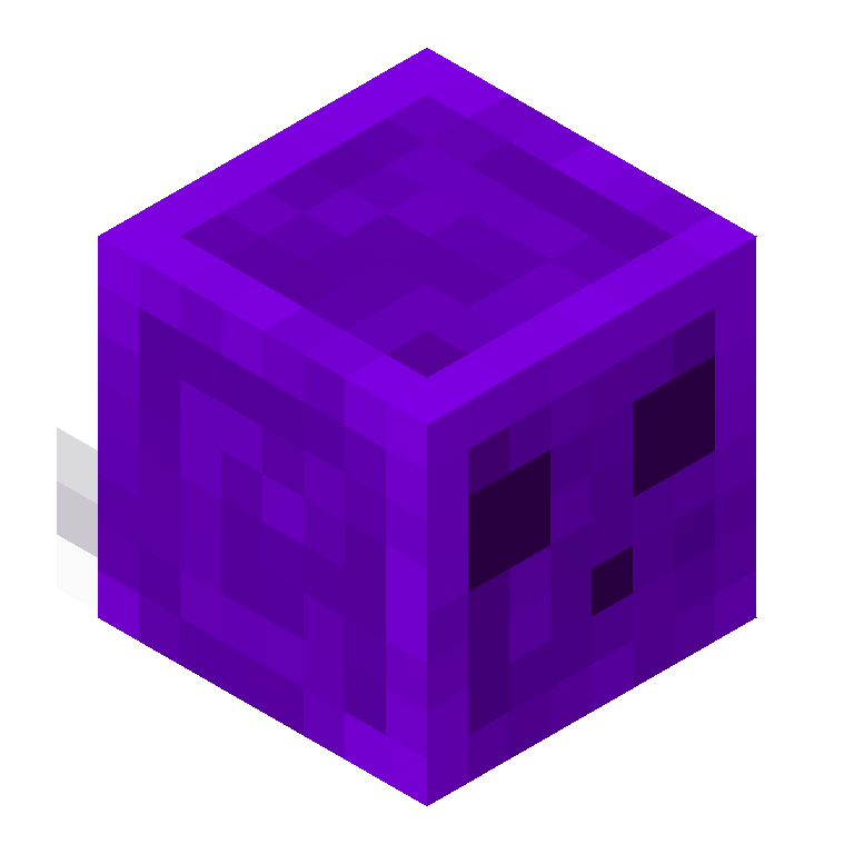 HEAD_ISO
