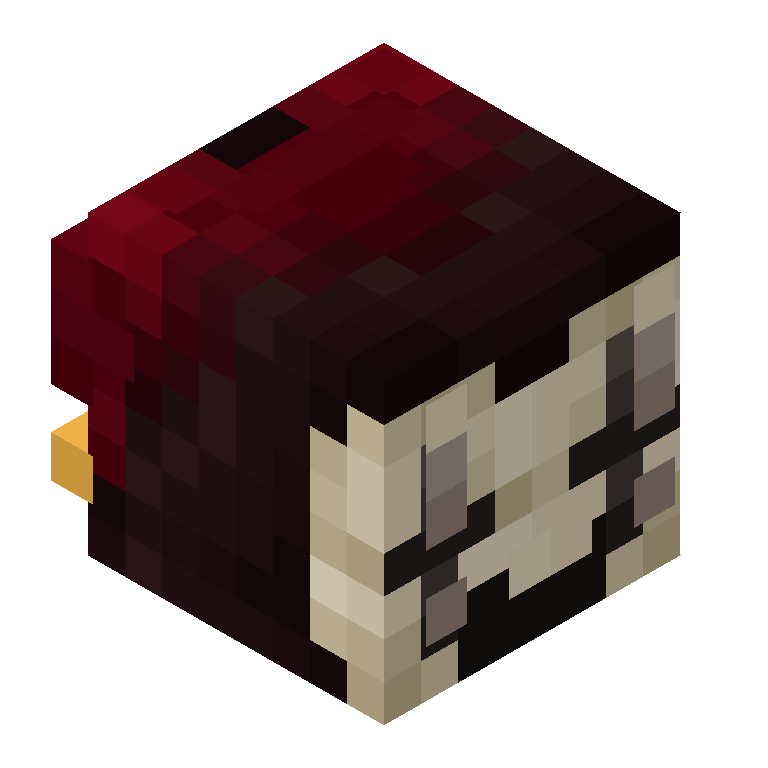HEAD_ISO
